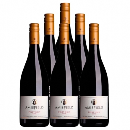 Amisfield Pinot Noir 2022 6 Bottles Case Deal - Liquor Legends New Zealand