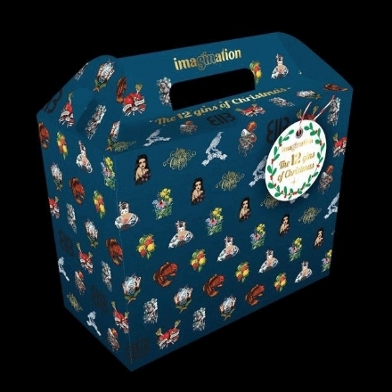 Imagination 12 Gins of Christmas Giftbox - Liquor Legends New Zealand